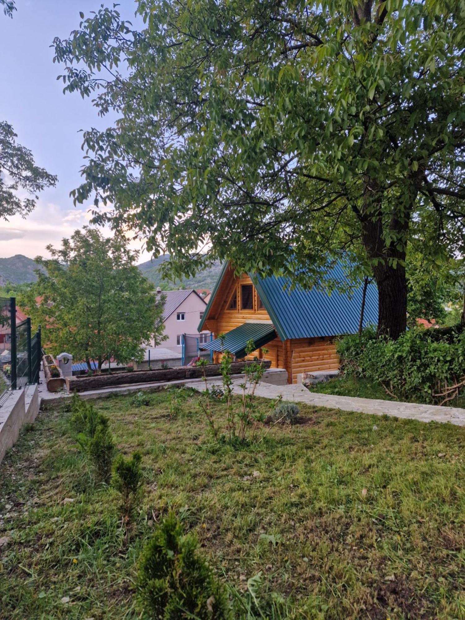 Willa Brvnara Ricki Cetynia Zewnętrze zdjęcie